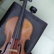 ビオラとバイオリン