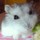 ぴらこ