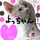 よっちゃん5050