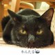 140㎝わんたるママ