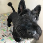 セブンイレブン風辛キュウ レシピ 作り方 By Komamagokko クックパッド 簡単おいしいみんなのレシピが353万品