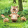 りんこゆき