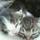 有希-yuki-
