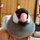 文鳥まんぢう