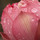 茶碗蓮の花のアイコン