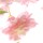 しろつめの花