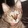 Cattyman
